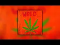 Netherfriends - Weed Queen (lyric video)
