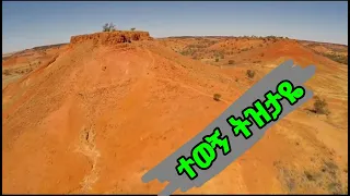 ተወኝ ልኑርበት Tewogn Linurbet ትዝታ 