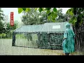 Download Lagu 폭우 내리는 숲속에서 하룻밤☔ ㆍ camping in the rain ㆍ캠핑브이로그
