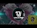 ريمكس | مصطفى الربيعي - هواي عالم DJVICKNIK