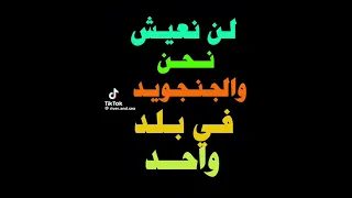 القول الفصل عبد الرحمن عمسيب 