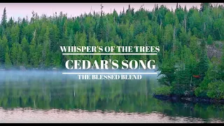 Download Cedars Song - Relaxing Native American Flute \u0026 Celtic Harp MP3