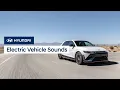 Electric Vehicle Sounds Hyundai