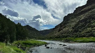 so alive may zoean cover remix 