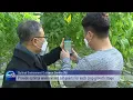 Download Lagu AI IN AGRICULTURE (News Today) l KBS WORLD TV 220204