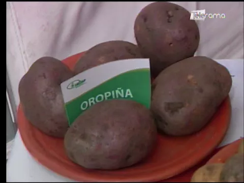 Ecuador Agropecuario 06-09-2017