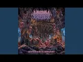 Download Lagu Fornication with Lacerated Womb
