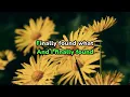 Maybe Not  - Souly Had ft. Mac Ayres (Karaoke Version)