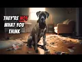 I wish I knew these BEFORE I got a Great Dane