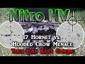 Lagu Nitro HV 17 Hornet vs Hooded Crow Menace They Just Kept Coming