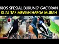 Download Lagu 🔴KIOS SPESIAL BURUNG\