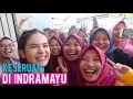 Download Lagu Keseruan di Indramayu!!!