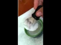 williams mug shaving soap