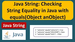 Java String Checking String Equality in Java with equals Object anObject Java Tutorial