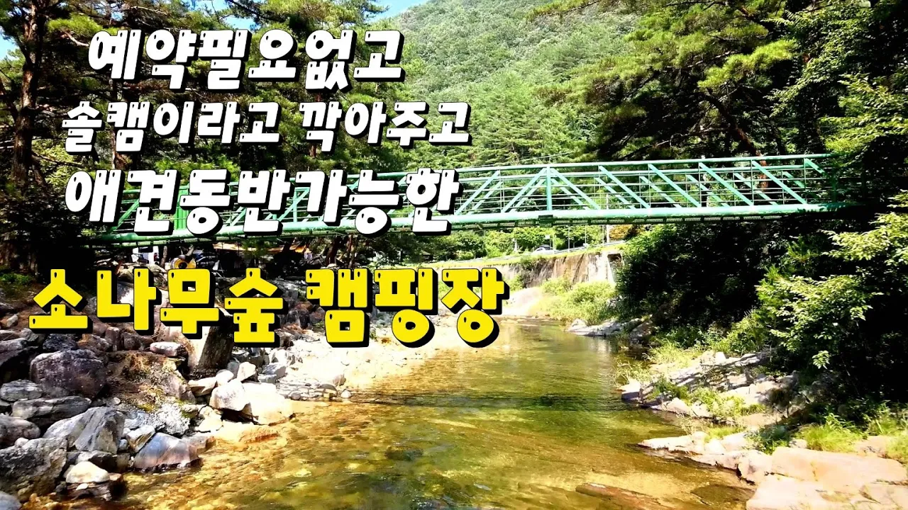 예약도필요없고 솔캠이라깍아주고 애견동반가능한 소나무숲 캠핑장 좋다~ 썸네일