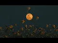Download Lagu listening to post-rock with the moon