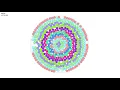 Circle packing in circle container