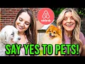 Why Saying No to Pets Is Losing You Airbnb Bookings
