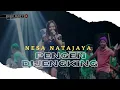 Download Lagu PENGEN DIJENGKING Voc NESA NATAJAYA I LIVE MUSIC “ DEDE RISTY “ GANJENE PANTURA I