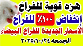 اسعار الفراخ اليوم سعر الفراخ البيضاء اليوم الجمعة 2025 10 24 في مصر اسعار الفراخ اليوم 