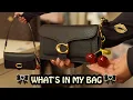 What s in my coach tabby chain clutch