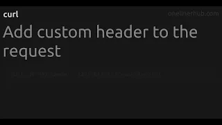 Add custom header to the request