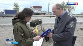 Специалисты Россельхознадзора проверили качество саженцев