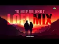 Tu Mile Dil Khile - Lofi Mix | Criminal | Alka Yagnik | Kumar Sanu | DJ Harshit Shah and DJ MHD IND