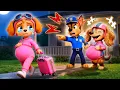 Lagu ¿SKYE, EMBARAZADA, se muda? ¿Por qué la abandonó CHASE? | PAw PatRol en Español | Rainbow 3