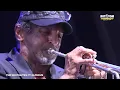 THE SKATALITES ft ALPHEUS live @ Rototom Sunsplash 2026