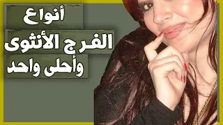 9 انواع عند النساء لكل منهم شكل وطعم مختلف 