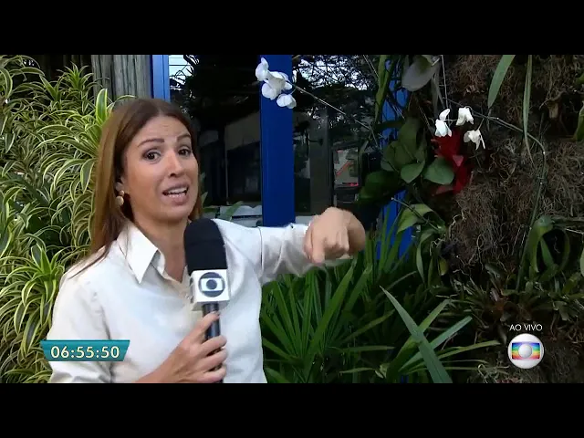 COMO FIXAR AS ORQUÍDEAS NA ÁRVORE CORRETAMENTE COMO CUIDAR DE ORQUÍDEAS DO JEITO CERTO