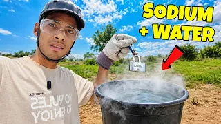 I Bought Sodium Metal… BIG MISTAKE! 😳
