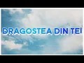 Download Lagu O-Zone - Dragostea Din Tei (Numa Numa) [Cover Español] | FELI