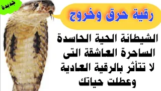 رقية حرق وخروج الشيطانة الحية الحاسدة الساحرة العاشقة المعطلة التى لا تتأثر بالرقية العادية 