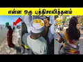 Download Lagu ஊருக்குள்ள இருக்க எல்லா விஞ்ஞானியும் இங்கதான் இருக்காங்க 🤣