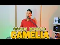 Download Lagu CAMELIA RHOMA IRAMA | COVER MUHLIS | DANGDUT ORGEN TUNGGAL