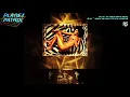 Play at Your Own Risk (Lil' Jon Remix) (feat. Lathun) - Planet Patrol