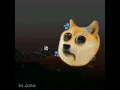 Gotcha bih