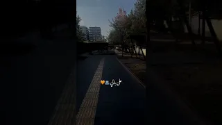 ادم   على بالي اكتب غنيه   تصميمي  حالات واتس اب  اغاني دندنها