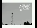 Sonic Blue - Things i don't need (Human Tetris cover)