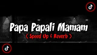 Download Dj Papa Papali Mamam Breakdutch - ( Speed Up \u0026 Reverb )🎧 MP3