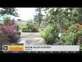 Moon Valley Nursery has everything from nursery plants to unique yard decor 10am