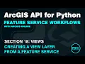 Create ArcGIS Online Feature Service Views using the ArcGIS API for Python