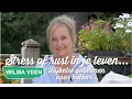 Download Lagu Stress of rust in je leven? Bijbelse geheimen voor balans  / Wilma Veen – Ik Wonder Jou