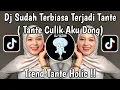 Lagu DJ SUDAH TERBIASA TANTE REMIX | DJ TANTE CULIK AKU DONG TREND TANTE HOLIC VIRAL TIKTOK 2025 TERBARU