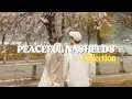 Download Lagu New Peaceful Nasheed Collection ❤️‍🩹🌷 - Best Trending Nasheeds to Listen 🎶 | Zahara Typist