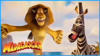 Marty Alex Marty Alex Madagascar Mini Moments