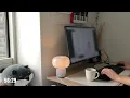 study with me 📚・cozy lofi 🍂 1-hour ⏳