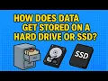 How Does Data Get Stored on a Hard Drive or SSD